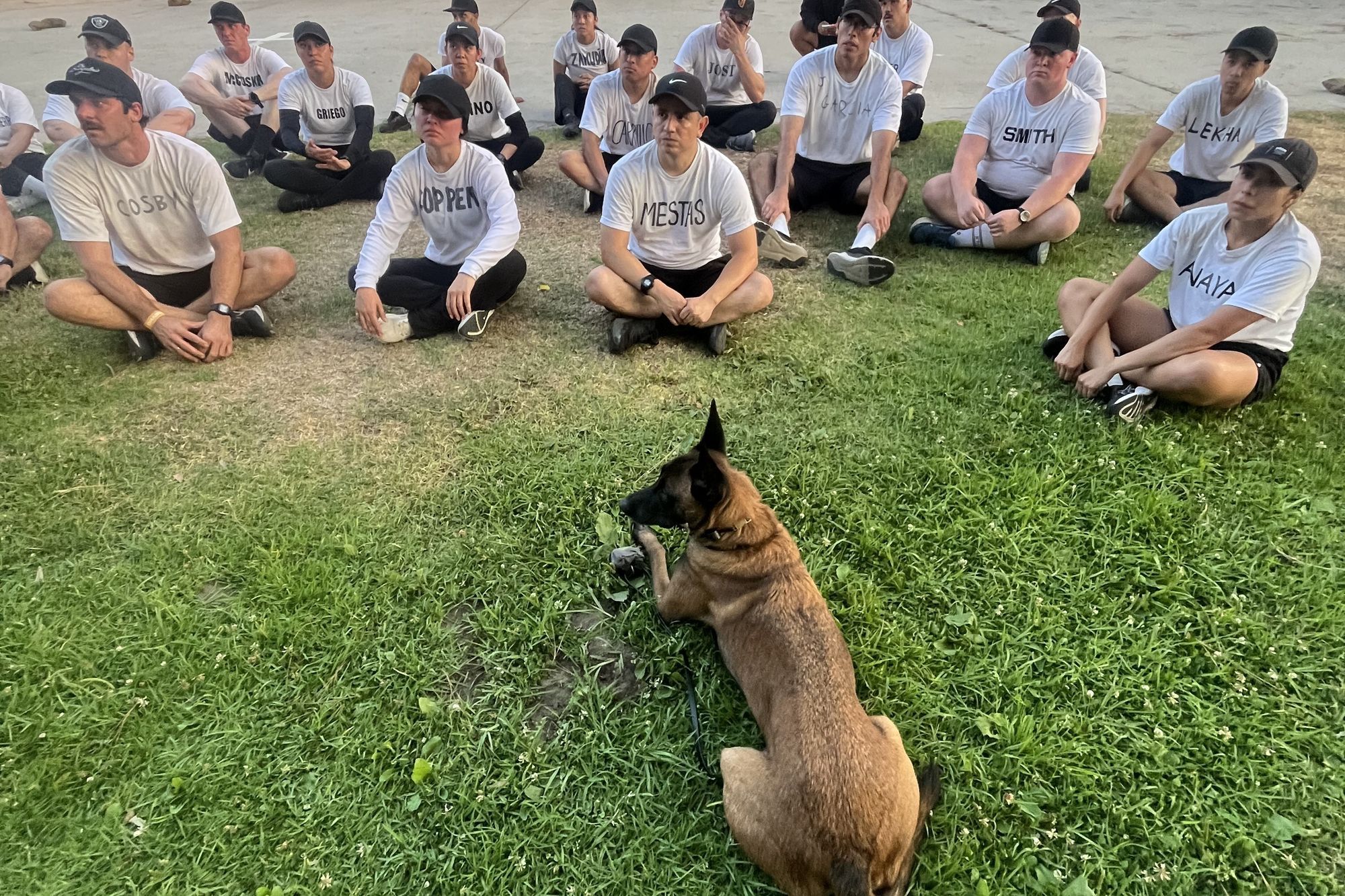 S2 recruits sitting attentively in a circle with a K9 unit dog during a training session
