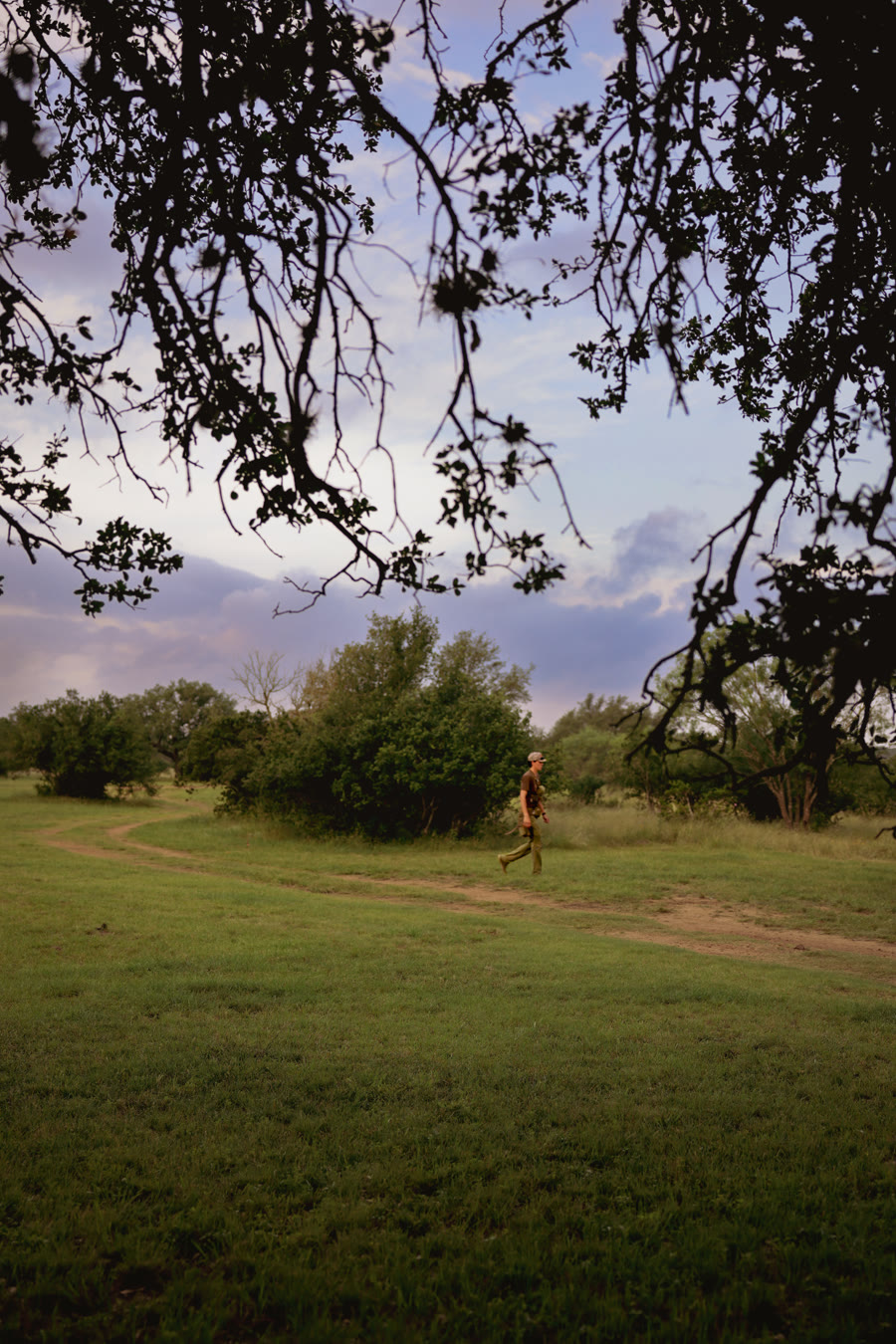 Figure walking a scouting trail at dusk, overhanging tree branches