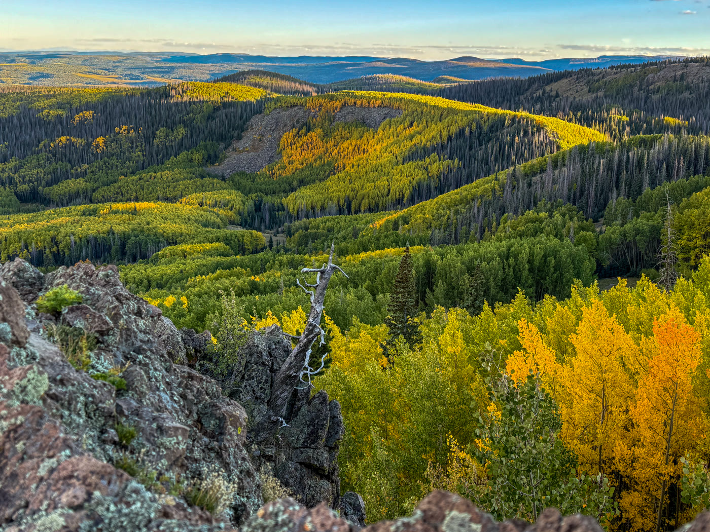 Fall foliage vista with no people