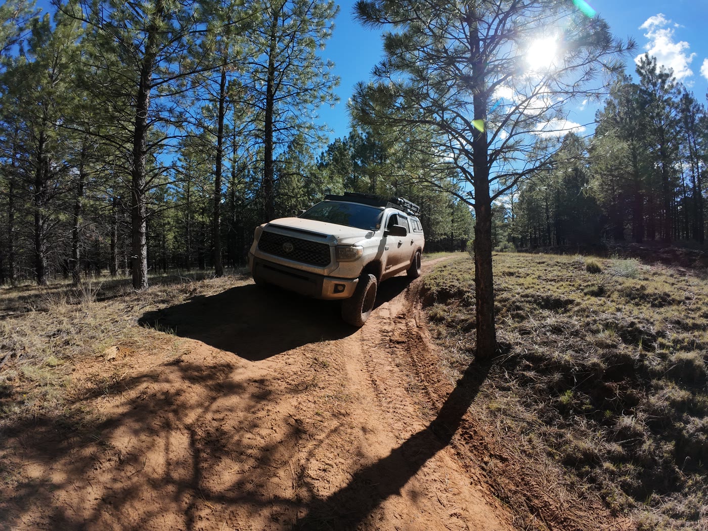Overlanding truck arriving at a forest camp on a dirt trail