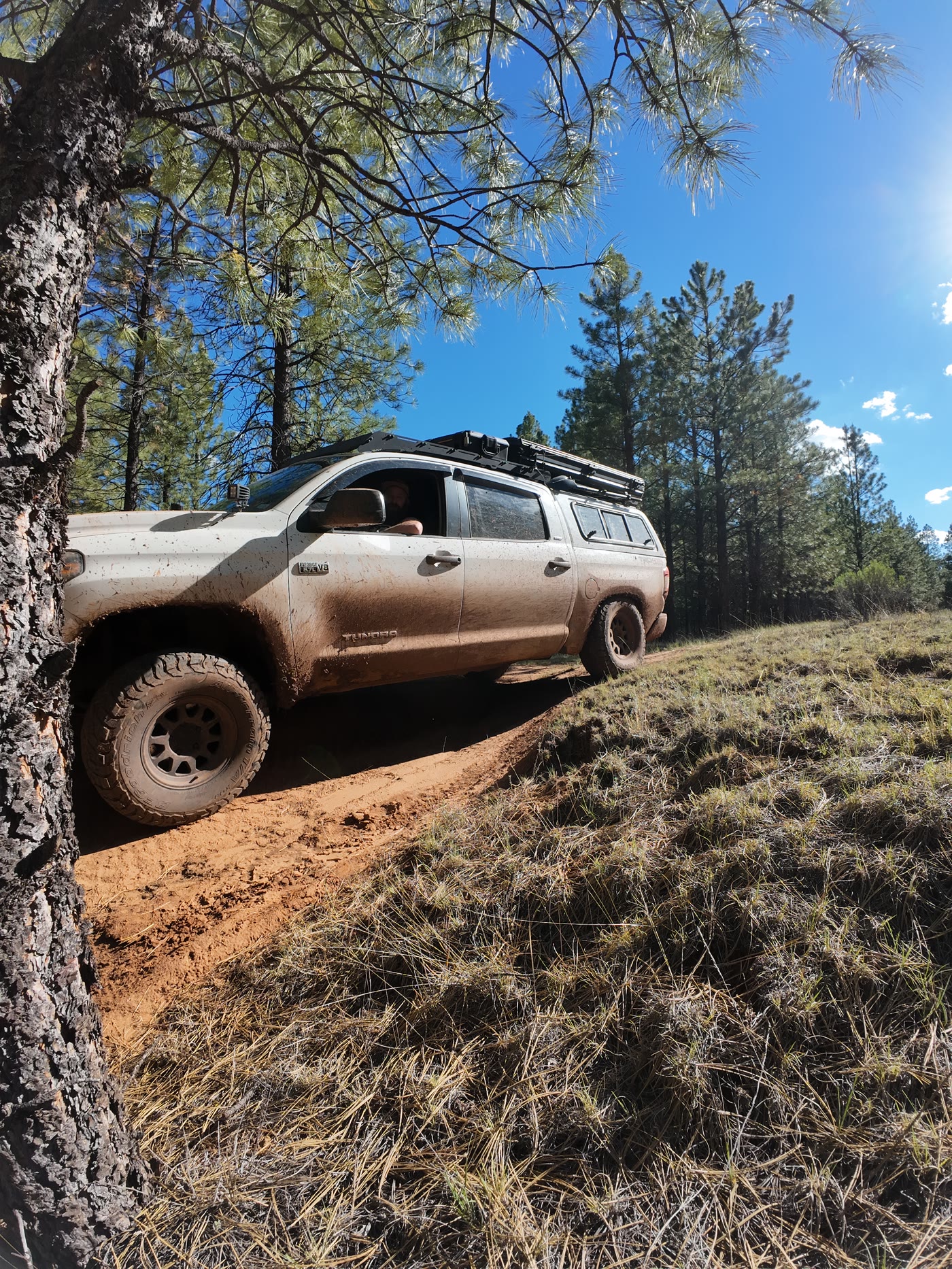 Overlanding truck on a muddy dirt trail through the pines