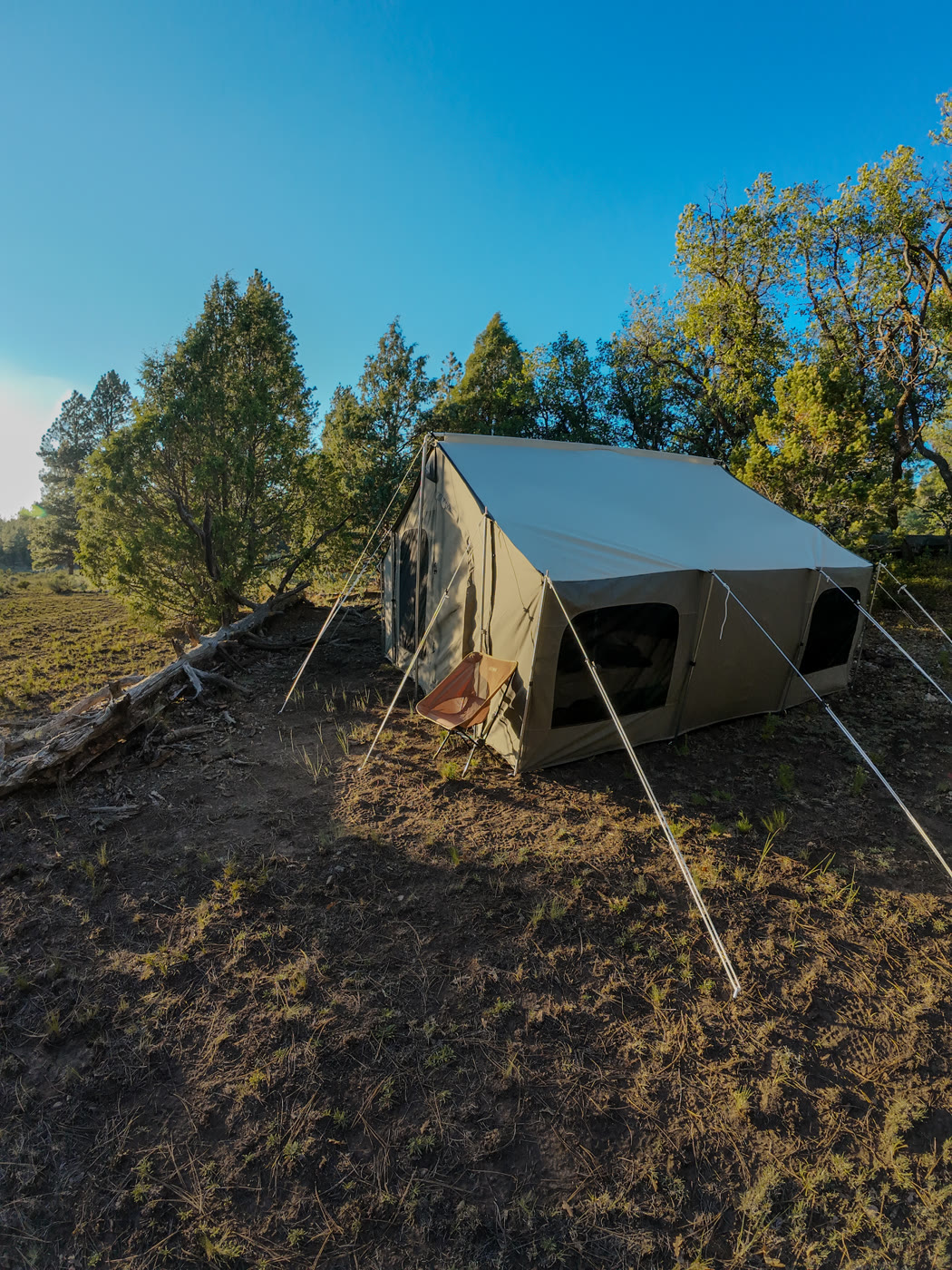 Canvas wall tent camp set up in a clearing